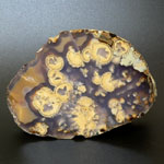����.