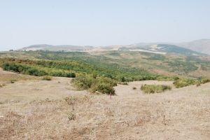 Предполагается геологоразведка на углеводороды в Азербайджане