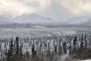 Ведется геологоразведка на месторождении Ахпун