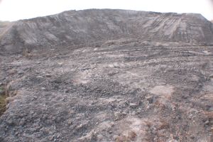Предложено рассматривать золоотвалы в качестве месторождений
