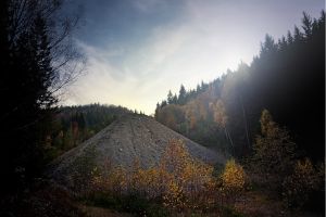 Обнародована статистика Росприроднадзора за 2025 г.
