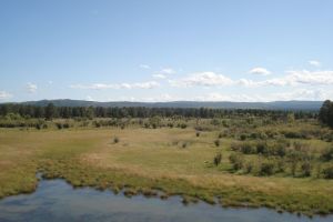 В Забайкалье отмечен рост нарушений в золотодобыче