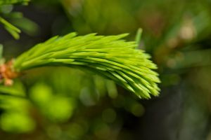 Разработан новый метод поиска золота