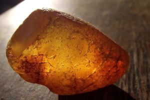 Добыт крупный самородок янтаря в Калининградской области